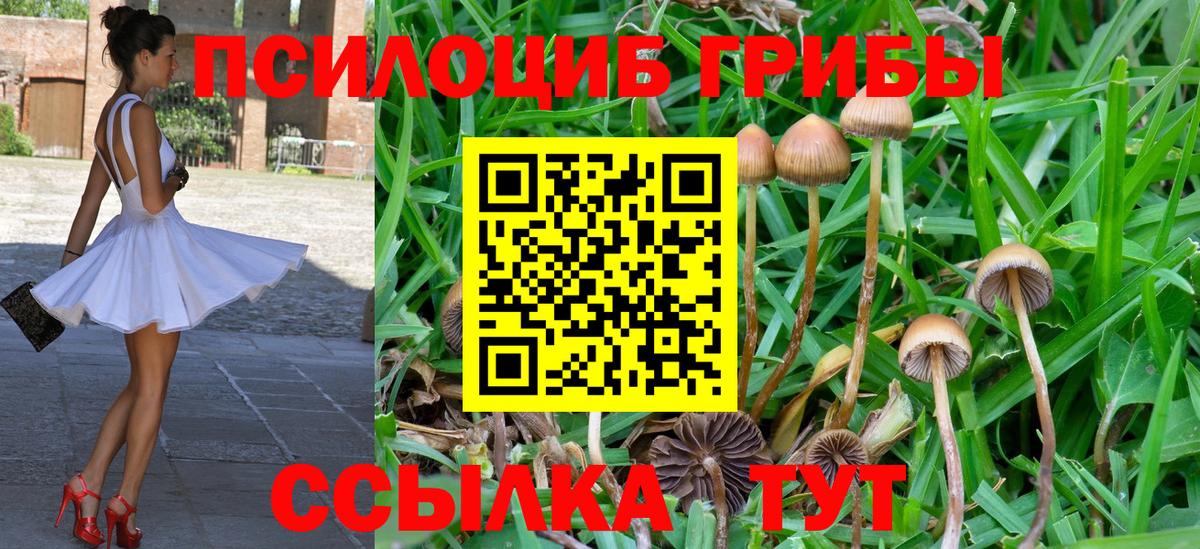 Псилоцибиновые грибы прущие грибы Партизанск