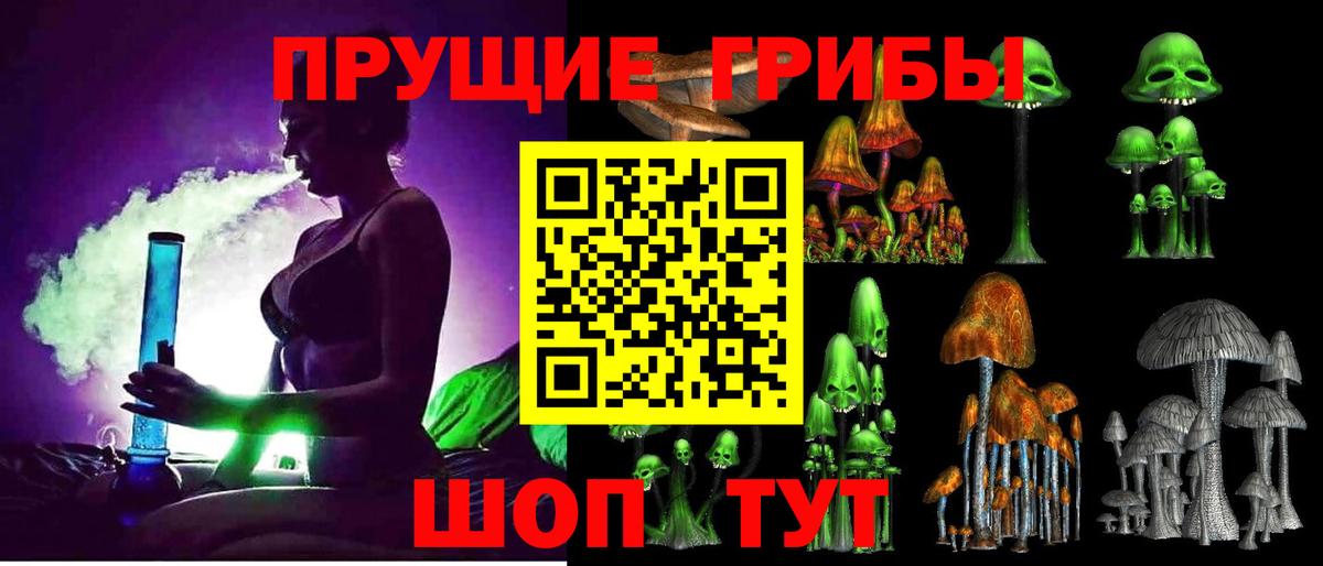 Партизанск  Псилоцибиновые грибы прущие грибы  Вход с VPN 